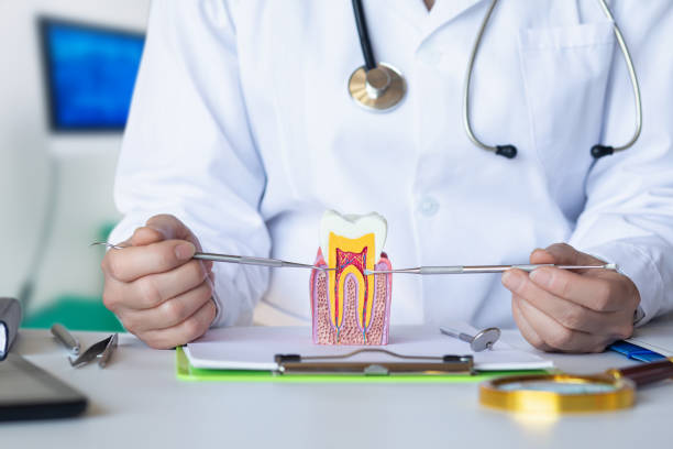 Best Emergency Root Canal Treatment in Rosend, LA